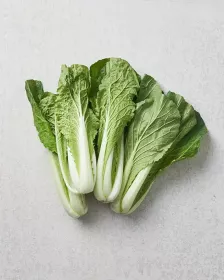 GREEN FARM Eolgari 1 ea