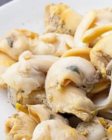 Wellhornschnecke L 200g - TK