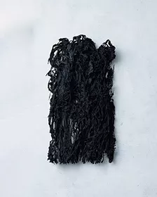 OTTOGI Meeresalgen 50g