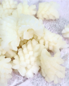 DM Blumengeschnittene Tintenfische 700g - TK